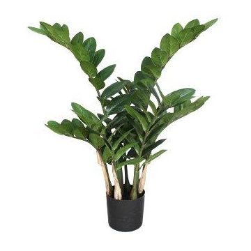 Umělá rostlina Zamioculcas AHLEON, 70cm Umělá rostlina Zamioculcas AHLEON, 70cm