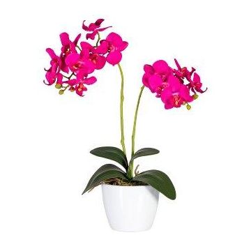 Dekorativní květina orchidej Phalaenopsis FRUXO, tyčinka, kořeny, růžová, 50cm