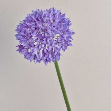 Textilní allium LISBETH, fialová, 80cm, Ø15cm Textilní allium LISBETH, fialová, 80cm, Ø15cm