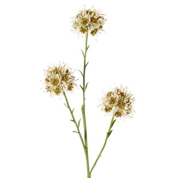 Umělá větvička Allium ZEBU, krémová, 65cm, Ø7cm