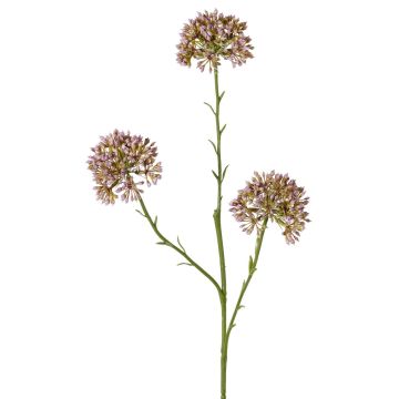 Dekorativní větvička Allium ALIKIO, lila, 65cm, Ø7cm Dekorativní větvička Allium ALIKIO, lila, 65cm, Ø7cm