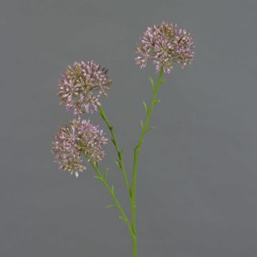 Dekorativní větvička Allium ALIKIO, fialová, 65cm, Ø6,5cm Dekorativní větvička Allium ALIKIO, fialová, 65cm, Ø6,5cm