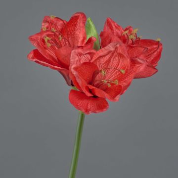 Umělá květina amaryllis BENITA, červená, 55cm, Ø10cm