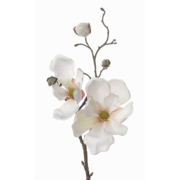 Textilní květina šácholan MALBINE, krémová, 50cm, Ø6-10cm Textilní květina šácholan MALBINE, krémová, 50cm, Ø6-10cm