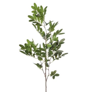 Dekorativní větvička pistácie WEXTOR, zelená, 90cm