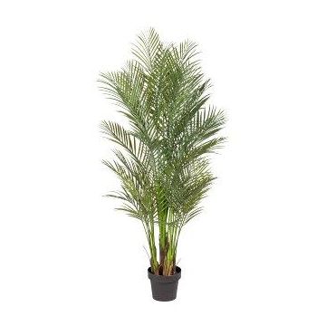Dekorativní palma Areca URUBE v ozdobném květináči, 160cm Dekorativní palma Areca URUBE v ozdobném květináči, 160cm
