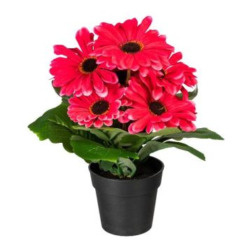 Umělá gerbera KROLVEN v černém dekorativním květináči, fuchsie, 27cm Umělá gerbera KROLVEN v černém dekorativním květináči, fuchsie, 27cm