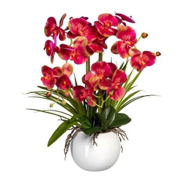 Umělá květina aranžmá Orchidej Phalaenopsis TRALFEN s trávou, keramický květináč, kořeny, růžovo-zelená, 60cm
