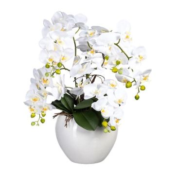 Umělé květinové aranžmá orchidej Phalaenopsis WEMBER s vývrtkou vrby, keramický květináč, kořeny, bílá, 55cm