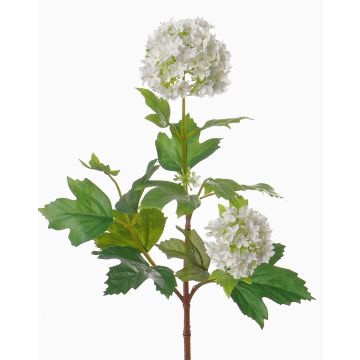 Umělá květina kalina JOTTI, bílá, 40cm, Ø2-8cm Umělá květina kalina JOTTI, bílá, 40cm, Ø2-8cm