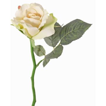 Umělá růže ELLI, krémovo-růžová, 30cm, Ø6,5cm