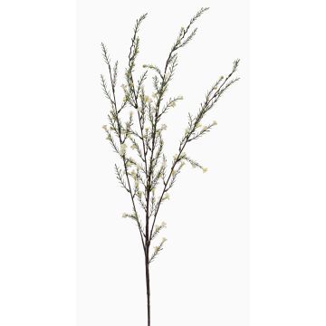 Umělá větvička rozmarýnu HARBARD s květy, krémová, 115cm Umělá větvička rozmarýnu HARBARD s květy, krémová, 115cm