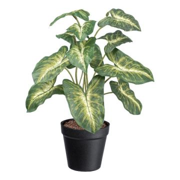 Dekorativní rostlina Syngonium GLOHEN, dekorativní květináč, zelenožlutý, 40cm