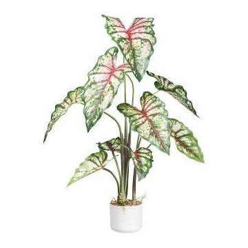 Dekorativní rostlina Caladium GRUHON, melaminový květináč, zeleno-červený, 100cm