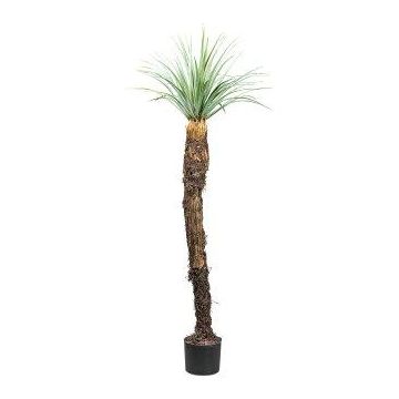 Plastová palma Yucca CLATA, šedozelená, 150cm