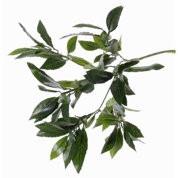 Umělá větvička vavřínu NAGISA, 50cm Umělá větvička vavřínu NAGISA, 50cm