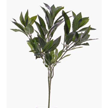 Umělá větvička vavřínu NAGISA, težko hořlavá, 50cm Umělá větvička vavřínu NAGISA, težko hořlavá, 50cm