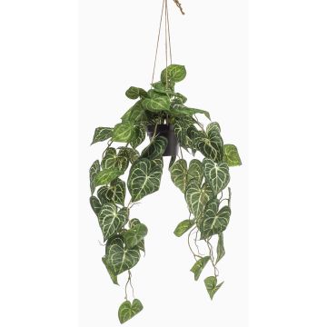 Umělá rostlina Anthurium závěsný koš URCO, dekorativní květináč, zelená, 80cm Umělá rostlina Anthurium závěsný koš URCO, dekorativní květináč, zelená, 80cm