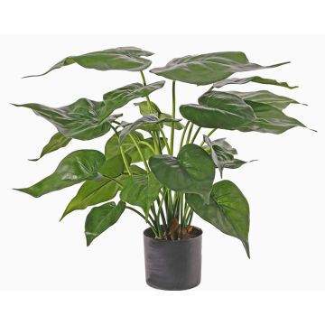 Umělá alokásie cucullata AROA, zelená, 50cm Umělá alokásie cucullata AROA, zelená, 50cm