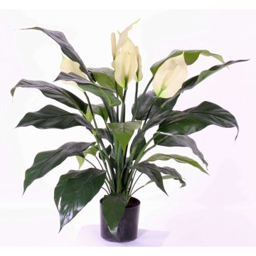 Umělý lopatkovec ABBY s květy, bílý, 75cm Umělý lopatkovec ABBY s květy, bílý, 75cm