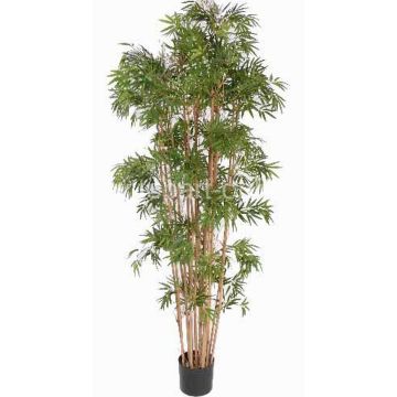 Umělý bambus NARO, skutečné kmeny, 150cm Umělý bambus NARO, skutečné kmeny, 150cm