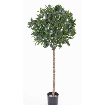 Umělý stromek třešeň vavřín ve tvaru koule ALEXIOS, skutečný kmen, plody, 175cm, Ø55cm Umělý stromek třešeň vavřín ve tvaru koule ALEXIOS, skutečný kmen, plody, 175cm, Ø55cm