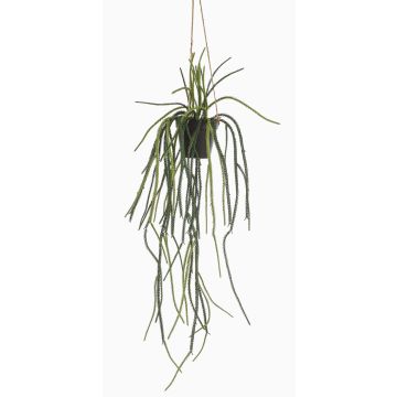 Umělý závěsný koš Rhipsalis pilocarpa JEXIA, dekorativní květináč, zelený, 85cm