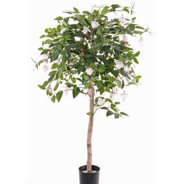 Umělý strom fuchsie MINERVA, skutečný kmen, s květy, jemná růžová, 90cm Umělý strom fuchsie MINERVA, skutečný kmen, s květy, jemná růžová, 90cm