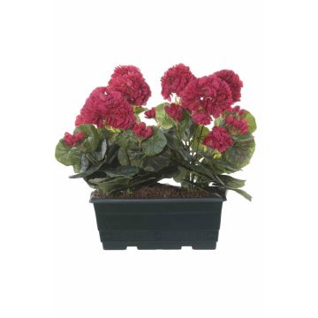 Umělé muškáty FLOREANA v květináči, 2 ks, růžové, 24 x 11 x 35 cm Umělé muškáty FLOREANA v květináči, 2 ks, růžové, 24 x 11 x 35 cm