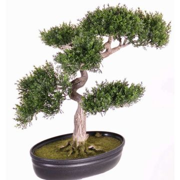 Umělý strom bonsai cedr JARNO, s kořeny, v květinové míse, 40cm Umělý strom bonsai cedr JARNO, s kořeny, v květinové míse, 40cm