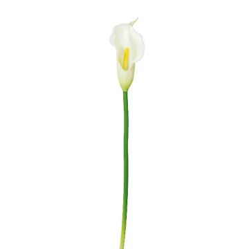Plastová květina Calla PERKAN, bílá, 35cm Plastová květina Calla PERKAN, bílá, 35cm