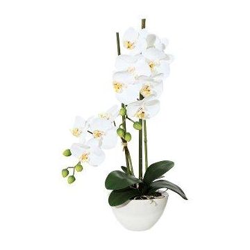 Textilní orchidej Phalaenopsis DINKA v keramické misce, kořeny, bílá, 50cm Textilní orchidej Phalaenopsis DINKA v keramické misce, kořeny, bílá, 50cm