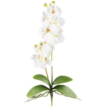 Textilní orchidej Phalaenopsis MORLEK, tyčinka, kořeny, krémová, 60cm