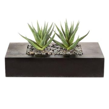 Umělý sukulent Aloe variegata FRONZ v dřevěné krabičce, zelenobílý, 24x11x14cm Umělý sukulent Aloe variegata FRONZ v dřevěné krabičce, zelenobílý, 24x11x14cm