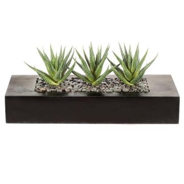 Umělý sukulent Aloe variegata FRONZ v dřevěné krabičce, zelenobílý, 36x15,5x16cm