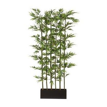 Umělý japonský šípový bambusový rozdělovač místností KAWAI v dřevěné bedně, přírodní stonky, 115x50x195cm Umělý japonský šípový bambusový rozdělovač místností KAWAI v dřevěné bedně, přírodní stonky, 115x50x195cm