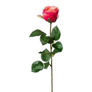 Dekorativní růže NORLAN, tmavě růžová, 70cm Dekorativní růže NORLAN, tmavě růžová, 70cm