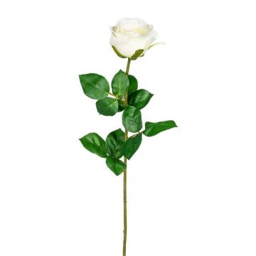 Dekorativní růže NORLAN, krémová, 70cm Dekorativní růže NORLAN, krémová, 70cm