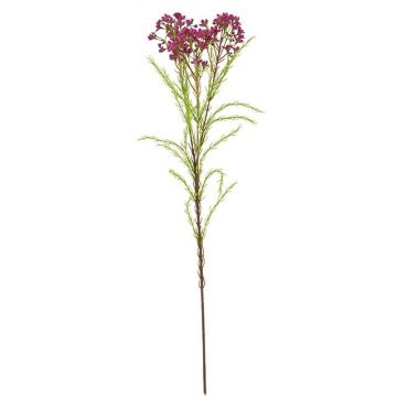 Umělá větvička voskové květiny MEDEA, fuchsiová, 80 cm, Ø 6 cm