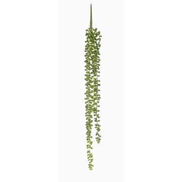 Umělý hrášek Senecio závěsný PURUS, tyčkový, zelený, 60cm