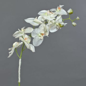 Umělá větvička orchideje phalaenopsis NALANI, zasněžený, bílá, 80cm
