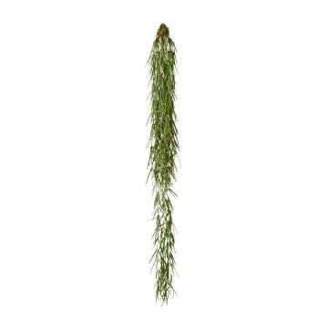 Umělý sukulent Hoya linearis NERTIN, zemní koule, zelená, 120cm