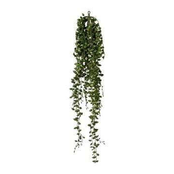 Umělý sukulent Senecio FLINKO, závěsný, zelený, 90cm