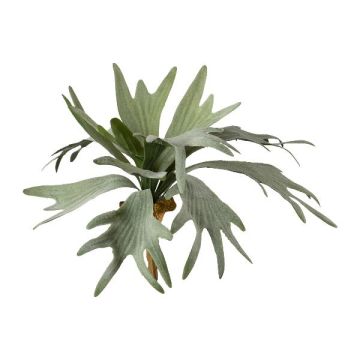 Umělá rostlina kapradina staghorn SLUHAR, tyč, zelená, 35cm