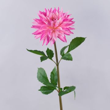 Umělá jiřina TURENA, růžovo-fuchsiová, 75cm Umělá jiřina TURENA, růžovo-fuchsiová, 75cm
