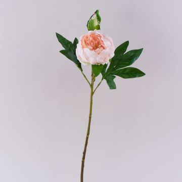 Umělá pivoňka FYRFAR, polootevřená, světle růžová, 60cm