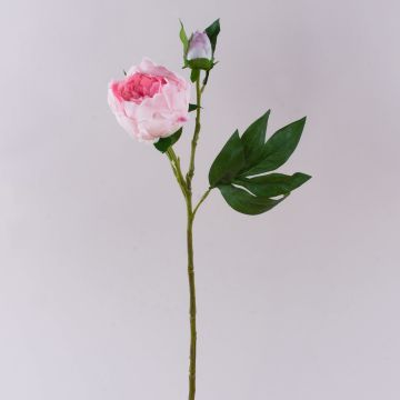 Umělá pivoňka FYRFAR, polootevřená, růžová, 60cm