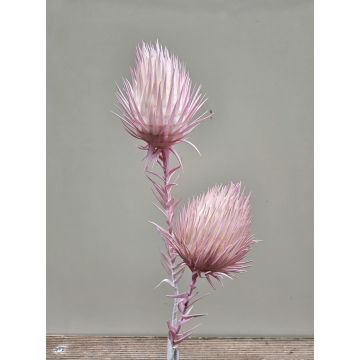 Umělá větvička bodláku z plastové pěny FERDIHAN, světle růžová, 100cm Umělá větvička bodláku z plastové pěny FERDIHAN, světle růžová, 100cm
