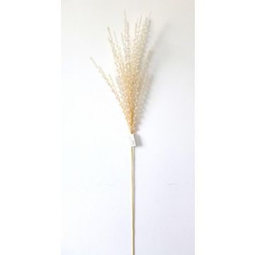 Plastový pěnový čínský rákos FERDIHUN s latami, meruňkový, 100cm