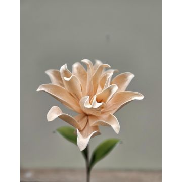 Plastová pěnová kamélie SINDAKLY, meruňková, 80cm Plastová pěnová kamélie SINDAKLY, meruňková, 80cm